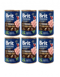 BRIT Premium by Nature Chicken and hearts 6x400 g kana ja s&uuml;damed looduslik koeratoit