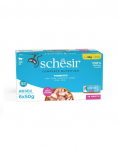 SCHESIR Tuunikala puljongis kassidele 6x50 g