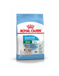 ROYAL CANIN Mini Starter Mother & Babydog 2x1 kg kuivtoit rasedatele ja imetavatele emastele ning kutsikatele vanuses 4 kuni 8 n&auml;dalat, v&auml;ikeste t&otilde;ugude