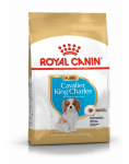 Royal Canin Cavalier King Charles Junior 1,5 kg