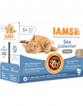 IAMS Cat Delights Adult All Breeds Sea In Jelly Pouch 12 X 85 g