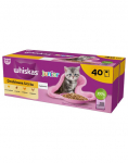 WHISKAS Junior Linnuliharoog 4 x 40x85g kassipoegadele m&otilde;eldud m&auml;rgtoit kana, pardi, linnuliha ja kalkuniga želatiinis &ndash; 3+1 TASUTA