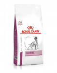 ROYAL CANIN Veterinary Diet Cardiac s&uuml;damepuudulikkusega koertele 14 kg