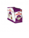 ROYAL CANIN Sensory Smell kaste, 24x85 g t&uuml;kid kastmes t&auml;iskasvanud kassidele, stimuleerivad haistmisaistingut