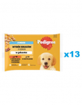PEDIGREE Junior Valik maitsed riisiga kotike 52x100g kutsikate m&auml;rgtoit želees kana- ja veiselihaga