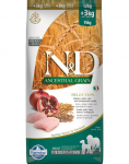 FARMINA N&D Ancestral Selection Dog chicken and pomegranate Adult Medium & Maxi 15 kg + 3 x FARMINA N&D Tropical Selection Dental Treat Pork Medium/Maxi 100 g tasuta!