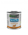 Farmina Vet Life Convalescence dieettoit koertele alatoitumise ja taastumise seisundis 300g