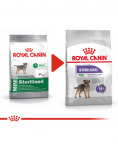 ROYAL CANIN CCN Mini Sterilised kuivtoit steriliseeritud v&auml;ikeste t&otilde;ugude t&auml;iskasvanud koertele 4x1 kg
