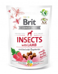 BRIT Care Dog Crunchy Cracker Insect Lamb 200g kr&otilde;mpsuvad maiused putukate, lambaliha ja vaarikatega