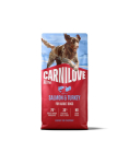 CARNILOVE Active Dog Salmon and Turkey Adult 12 kg &ndash; l&otilde;he ja kalkun t&auml;iskasvanud koertele + CARNILOVE Dog Crunchy Snack Salmon 2x200g TASUTA