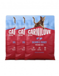 CARNILOVE Active Cat Salmon and Turkey Adult 3x2 kg l&otilde;he ja kalkun, k&otilde;igile t&auml;iskasvanud kassidele
