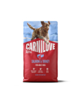 CARNILOVE Active Dog Salmon and Turkey Adult 4 kg &ndash; l&otilde;he ja kalkun t&auml;iskasvanud koertele + CARNILOVE Dog Crunchy Snack Salmon 200 g TASUTA