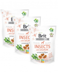 BRIT Care Dog Functional Snack Insect 3x200 g maiustab putukate ja l&otilde;hega