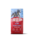 CARNILOVE Active Dog Salmon & Turkey Adult Large Breeds 12 kg łosoś i indyk dla ps&oacute;w dużych ras + CARNILOVE Dog Freeze Dried Turkey 2x60g GRATIS