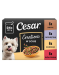 CESAR Creations Mix Maitsete (veise-, kana-, lambaliha-, kalkuni) 24 x 100g m&auml;rg toit t&auml;iskasvanud koertele