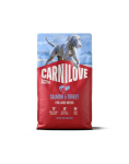 CARNILOVE Active Dog Salmon & Turkey Adult Large Breeds 4 kg l&otilde;he ja kalkun suurte t&otilde;ugude koertele + CARNILOVE Dog Freeze Dried Turkey 60 g TASUTA
