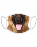 FERA 3x Saksa lambakoera kaitsemask