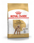 ROYAL CANIN Poodle Adult 2x1,5 kg kuivtoit t&auml;iskasvanud miniatuursed pudelid