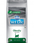 FARMINA Vet Life  Rasvunud kassidele 10 kg