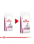 ROYAL CANIN VHN Dog Mobility Support 2 kg kuivtoit t&auml;iskasvanud liigesehaigustega koertele