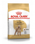 ROYAL CANIN Poodle Adult 4x1,5 kg kuivtoit t&auml;iskasvanud miniatuursete pudelite jaoks