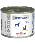 ROYAL CANIN Vet dog/cat recovery 24x195 g m&auml;rgtoit koertele ja kassidele intensiivravi ajal ja p&auml;rast kirurgilisi protseduure, taastumisperioodil