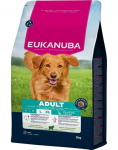 EUKANUBA Adult Large Breeds Lamb Rice 3 kg kuivtoit suurtele koertele, rikkalik lambaliha ja riis