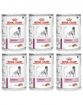 ROYAL CANIN Cardiac Canine &scaron;lapias maistas suaugusiems &scaron;unims, turintiems &scaron;irdies nepakankamumą, 410 g x 6