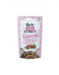 BRIT Care Cat  maiuspalad kasside seedes&uuml;steemile 50 g