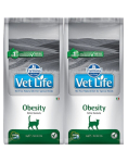 FARMINA Vet Life Cat Obesity 2x10 kg toit &uuml;lekaalulistele kassidele