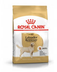 Royal Canin Labrador Retriever Adult  12 kg kuivtoit t&auml;iskasvanud labradori retriiveritele
