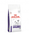 ROYAL CANIN Small Dog dental 3,5 kg kuivtoit v&auml;ikestele koertele, kellel on suuhaiguste risk, mis v&otilde;ivad p&otilde;hjustada suuhaigusi.
