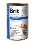 BRIT Veterinary Diet Recovery L&otilde;he taastav toit koertele ja kassidele 24x400g
