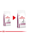 ROYAL CANIN VHN Dog Mobility Support 2x12 kg kuivtoit t&auml;iskasvanud koertele liigeseprobleemidega