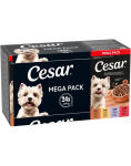 CESAR Maal&auml;hedane Hautis Maitsete Segu 24 x 150g m&auml;rg toit t&auml;iskasvanud koertele