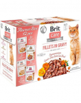 BRIT Care Fillets in Gravy Cat 24 x 85 g l&otilde;he-, kalkuni-, pardi- ja kanafileed kassidele m&otilde;eldud kastmes