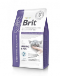 BRIT Veterinary Diets Cat Grain Free Gastrointestinal Low Fat 2 kg kasside seedetrakti h&auml;irete korral