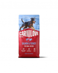 CARNILOVE Active Dog Salmon & Turkey Adult Small Breeds 12 kg l&otilde;he ja kalkun, t&auml;iskasvanud v&auml;ikeste t&otilde;ugude koertele