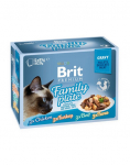 BRIT Premium by Nature Cat Delicate Fillets in Gravy Family Plate 12x85g niiskvaliteetne m&auml;rg toit t&auml;iskasvanud kassidele