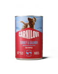 CARNILOVE Dog Can Turkey and Salmon Puppies 400g pasteet kalkuni ja l&otilde;he kutsikatele
