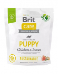 BRIT Care Sustainable Kutsikastele kanalihaga ja putukatega 1 kg