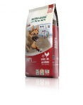 BEWI DOG Sport 25 kg aktiivsetele koertele