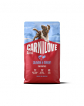 CARNILOVE Active Dog Salmon & Turkey Puppies 4 kg l&otilde;he ja kalkun, kasvavatele kutsikatele
