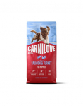 CARNILOVE Active Dog Salmon & Turkey Puppies 12 kg l&otilde;he ja kalkun, noortele kutsikatele