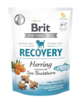 BRIT Care Dog Functional snack recovery Herring   Heeringas 150 g koerte maiuspala k&otilde;rge energiavajadusega koertele