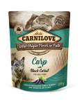 CARNILOVE Dog Pat&eacute; Carp with Black Carrot 300g &scaron;lapias &scaron;unų maistas Karpis su juodąja morką