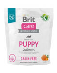 BRIT Care teraviljavaba kuivtoit kutsikatele l&otilde;hega 1 kg