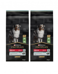PURINA PRO PLAN t&auml;iskasvanud keskmist t&otilde;ugu koertele tundliku seedes&uuml;steemiga Digest Lambaliha 28 kg (2 x 14 kg)
