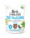 BRIT BRIT Dental Stick Teeth and Gums kummel ja salvei 251 g hambaravi maius, mis toetab hammaste ja igemete tervist