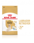 ROYAL CANIN Labrador Retriever Adult 5+ 12 kg kuivtoitu t&auml;iskasvanud Yorkshire terjeritele, vanemad kui 5 aastat